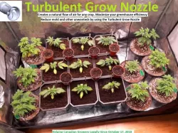 Turbulent Grow Nozzle