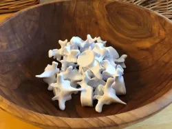 Big Bowl O’ Back Bones