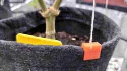 Clips for factory smartpots, with a hole for LST