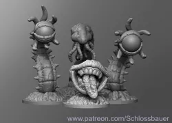 Face Worms