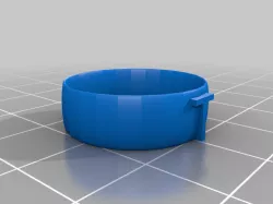 Initial Ring