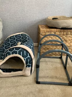 Cat Cave Scaffolding