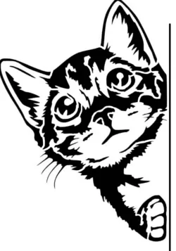 Cat stencil