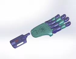 Cathy's Lucky Fin V3