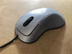 Computer Mouse