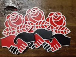 Democratic Socialists of America DSA Logo