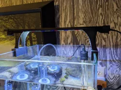 Finnex Stingray Riser Mount for Rimless Tanks