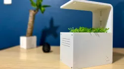 Germinador Inteligente