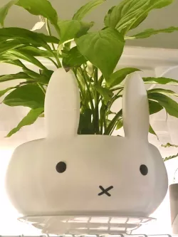 Miffy Flower Pot