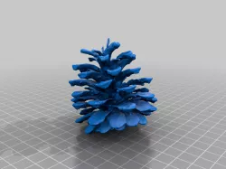 pine cone