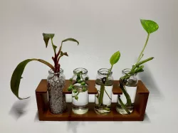 Plant pot propagator support