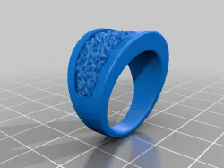 Ring3