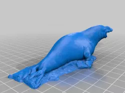 Southern Elephant Seal by Natural History Museum of Vienna