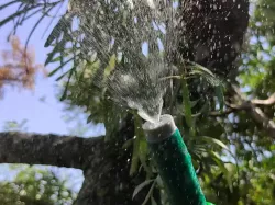 Water Mist/Fog/Sprayer Generator for 3/4" hose (source included)