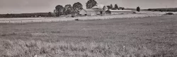 6X17 Camera