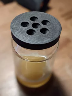 Fruit Fly Trap 