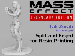 Mass Effect Tali'Zorah Figurine - Split & Keyed