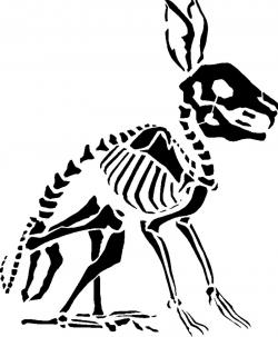 rabbit skeleton diagram 3D Models | Page 1 | STLFinder