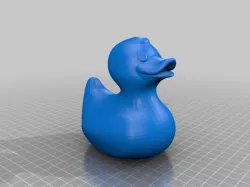 Rubber Ducky Geocache