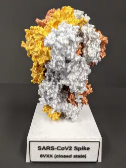 SARS-CoV-2 spike protein 6VXX