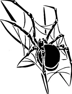 Spider stencil 5