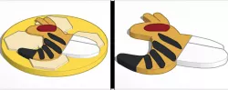 Wasp and Wasp from agar.io