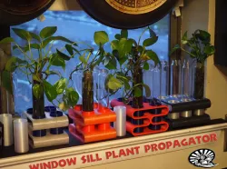 Window Sill Plant Propagator