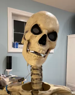 3-Axis Skull Mod for 12ft Skeleton
