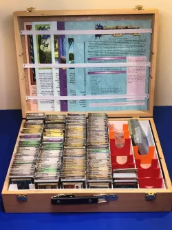 Dominion Game Organizer