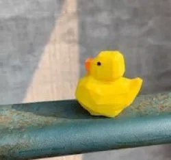 duke the duck