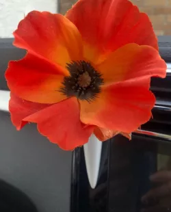 Flower Vase for car