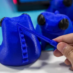 Güiro Percussion Frog Instrument 