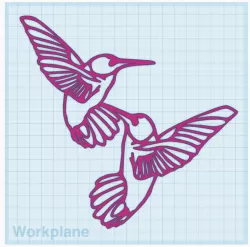 Humming Birds