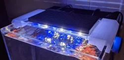 Mount for Wavepoint Blade 6" LED light on Lifegard Aquatics 5 Gallon Crystal AIO Tank
