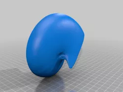 Nautilus Shell