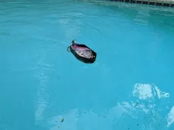 open simple boat