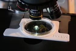 Petri dish holder for microscope MOTIC BA210E and BA310E (BA210 and BA310 Elite versions)