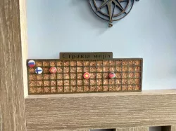 Pin board