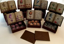 Quacks of Quedlinburg Box Insert for Coin Capsules