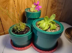 Warp pipes plant pots set