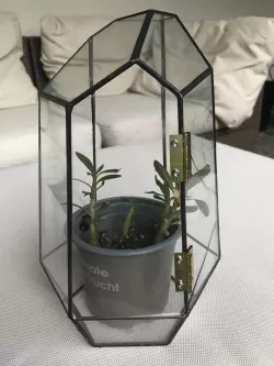Acrylic Door for NCYP Geometric Terrarium
