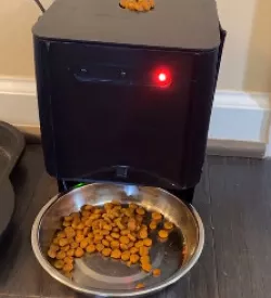 Automatic Pet Feeder V1