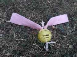 cat toy