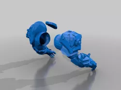 Destiny 2 Chemflesh Titan armor