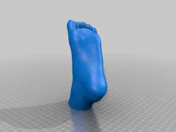Human Foot Geocache