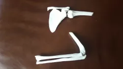 Human Left Arm Bones for Shoulder and Elbow Joints Simulator (BP3D)