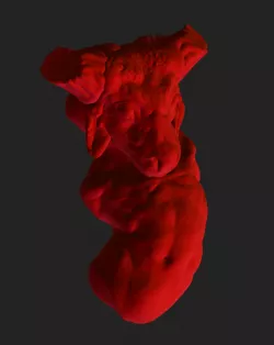 Minotaur 
