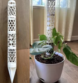 Moss Pole for Monstera