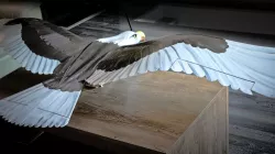 RC Eagle, 3D printable model, 1:1 scale