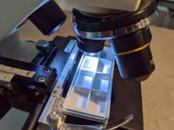 Specimen Box for Microscope / Microscope Slide Box